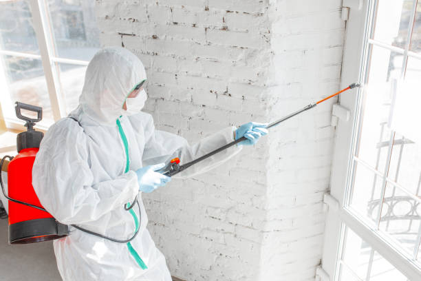 Best Mold Removal for HVAC Installations in Trexlertown, PA