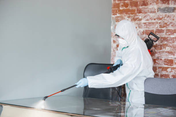 Trusted Trexlertown, PA Mold Removal Experts