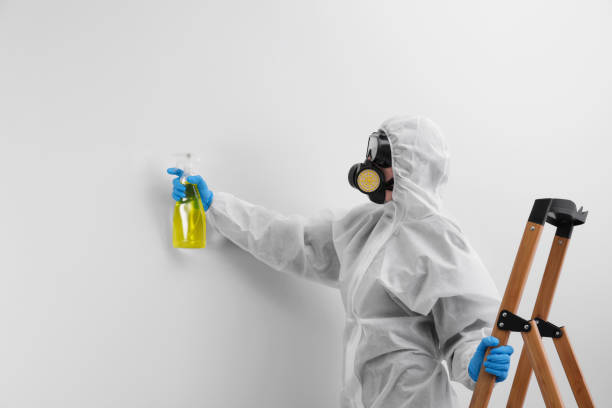 Why You Should Choose Our Mold Remediation Services in Trexlertown, PA